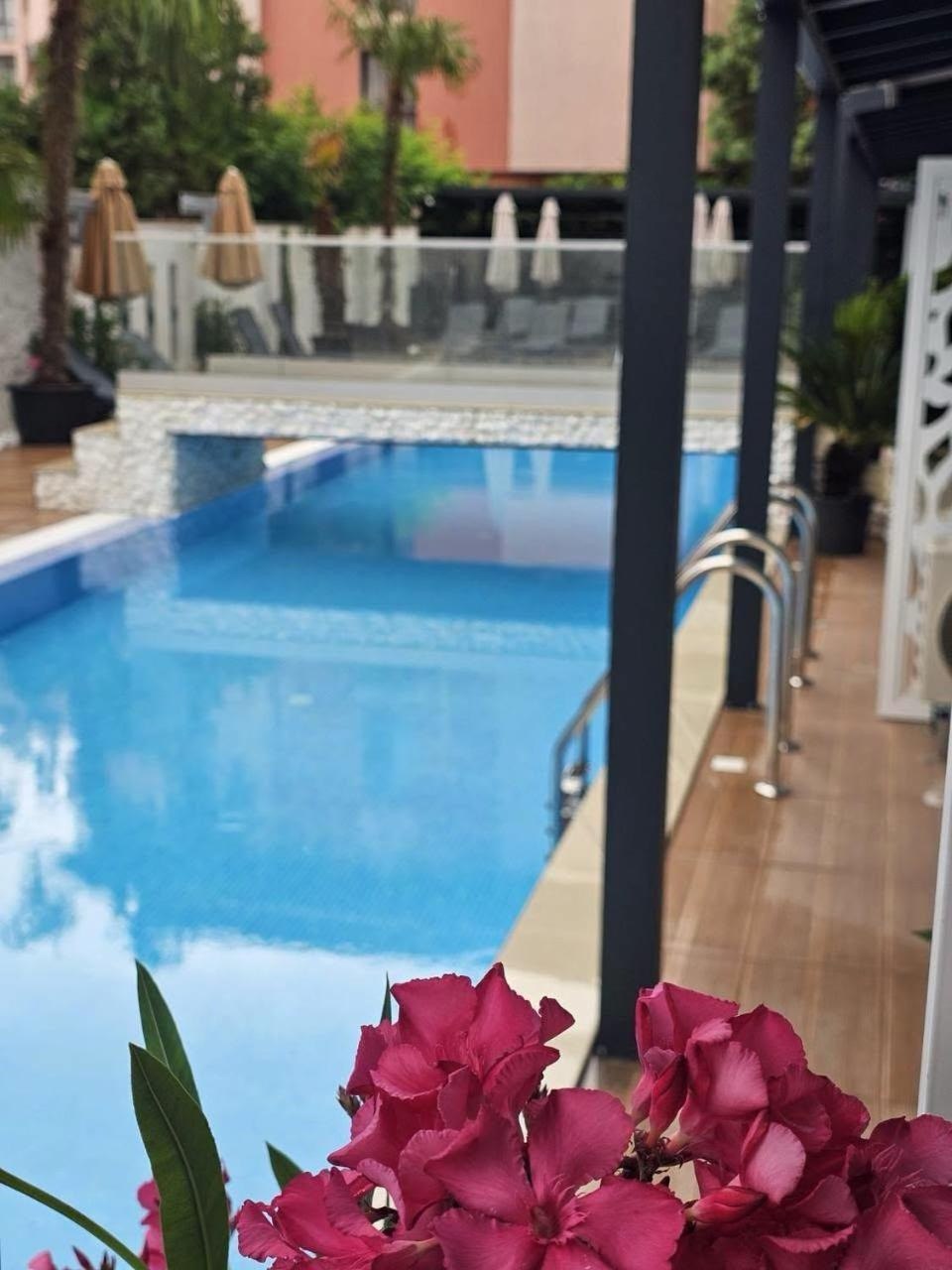 Sweet Home 9 — property photo 3